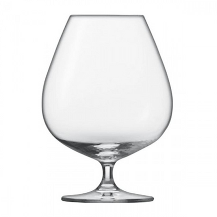 Schott Zwiesel Bar Special Cognacglas XXL nr.45 - 880 ml
