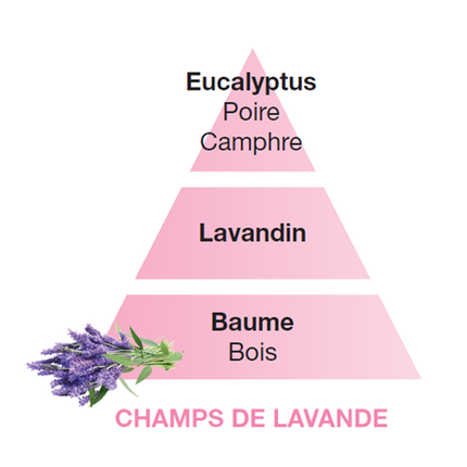 Lampe Berger Lavender Fields 500ml