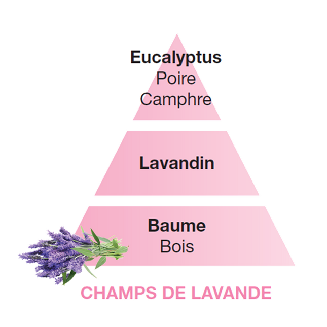 Lampe Berger Lavender Fields 500ml