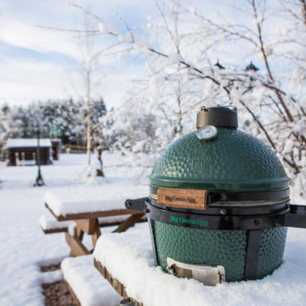 Big Green Egg Minimax met carrier en hoes