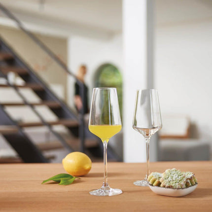 Leonardo Puccini digestief glas
