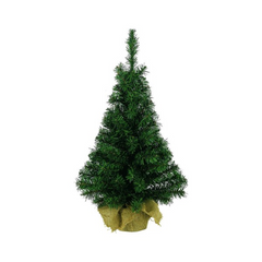 Collection image for: Kerstbomen