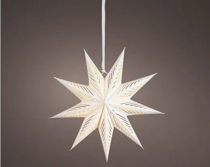 LED Ster voor binnen - 58 cm -  Wit/warm wit