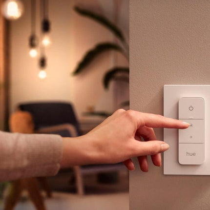 Philips Hue Dimmer Switch EU/UK LED