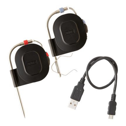 Weber Connect Smart Grilling Hub thermometer