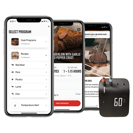 Weber Connect Smart Grilling Hub thermometer