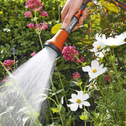 Broes