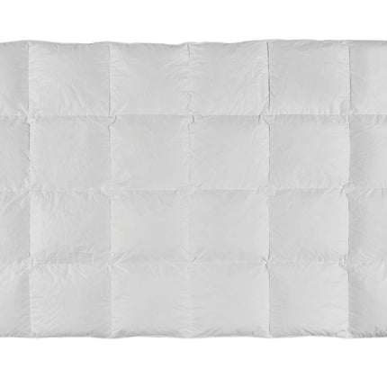 Dekbed Beddelicious Pozzitional 90% ganzendons. Warmteklasse 3 + 4, 240/220 cm