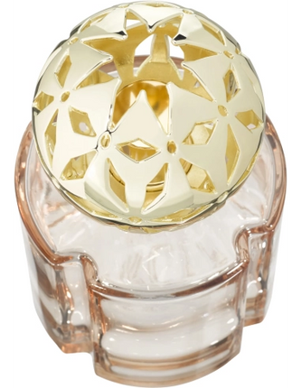 Lampe Berger Brander Pomelis Nude